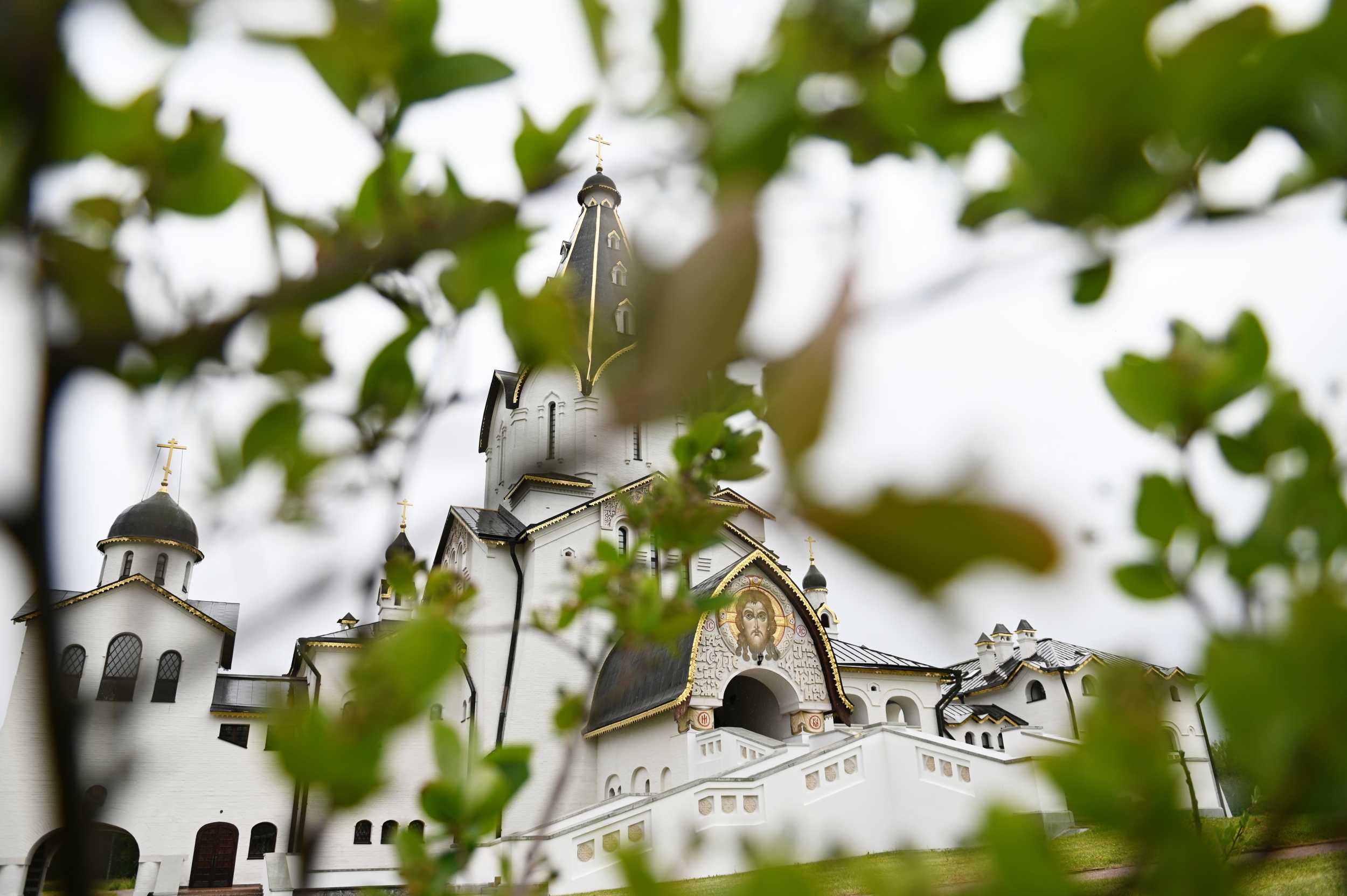 detail20190709-PAL_0050-обр